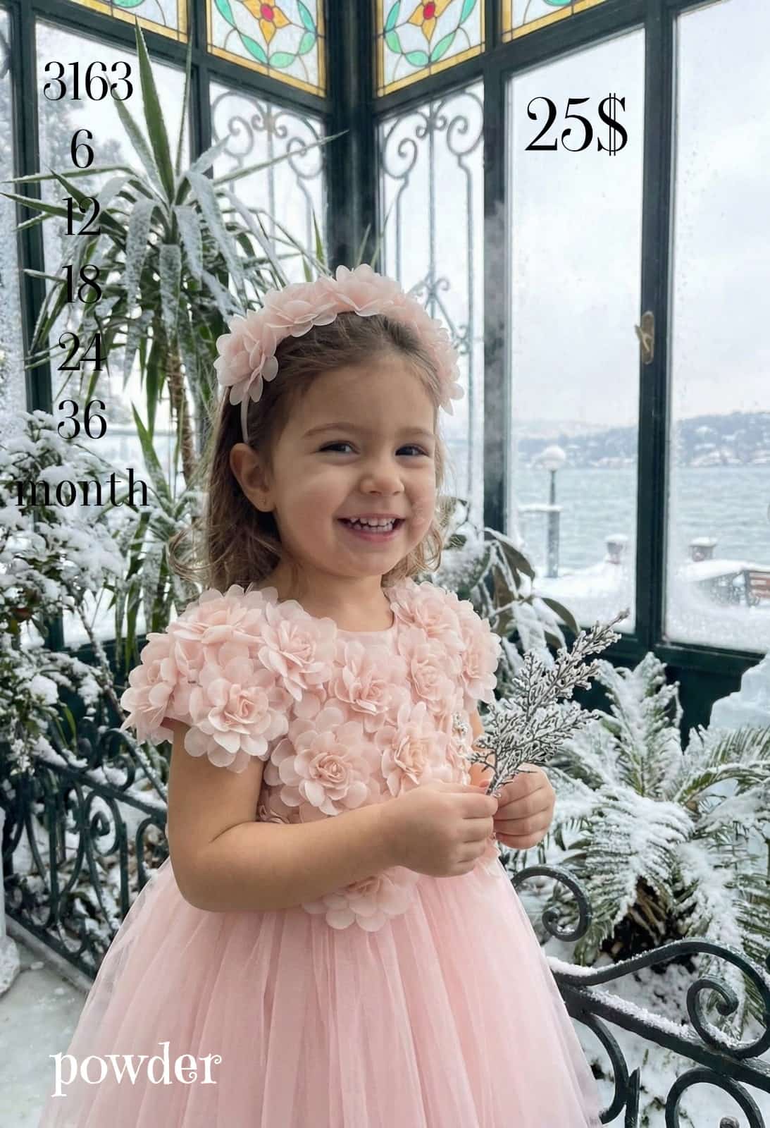Liv Olivia Liv-3163, Baby Girl Powder Pink Tutu Dress with 3D Flowers · Powder pink wholesale Girls